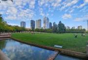 Bellevue Downtown Park is park located in the heart of downtown